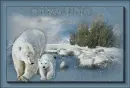snow time