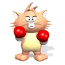 boxeo