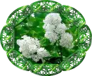 Flowers.
