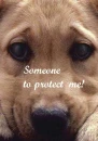 some one help me