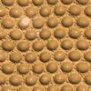 Beige Background