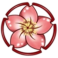sakura flower