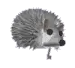 hedgehog