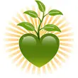 Growing heart