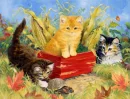 CATS