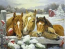 HORSES