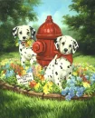 FIRE DOGS