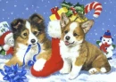 DOGS