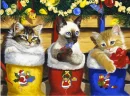 KITTEN CHRISTMAS