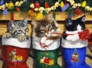 KITTEN CHRISTMAS