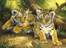 TIGERS
