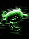gemstone turtle