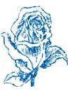 blue rose outline