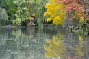 autumn water