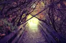 light way