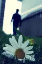 white flower