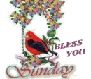 Sunday Blessings