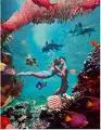 mermaids in love