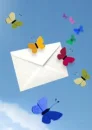 butterfly mail