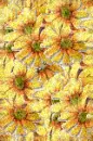 glitter flowers wallpaper