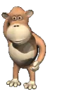 monkey scratching head