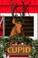 reindeer cupid