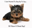 Hi have a great day