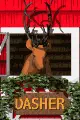 reindeer dasher