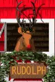 reindeer rudolph