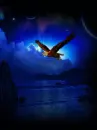 soaring eagle