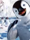 happy penguin