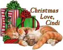 Christmas Love - Cindi