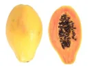 papaya