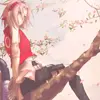 Sakura 