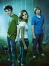 Harry Potter Gang