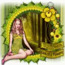 sunflowers