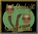 Owls goodnight