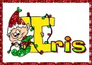 Christmas Elf Iris