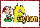Christmas Elf Payton