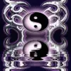 yin yang avatar