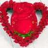 rosebud baby 