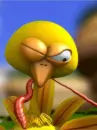 bird with worm