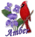 Amber