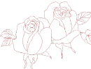 rose