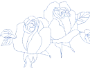 rose