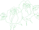 rose