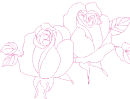 rose
