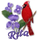 Rita
