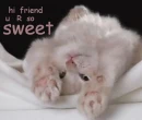 Hi Friend