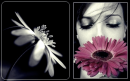 Girl with flowers
